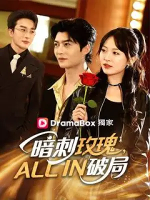 暗刺玫瑰，ALL IN破局