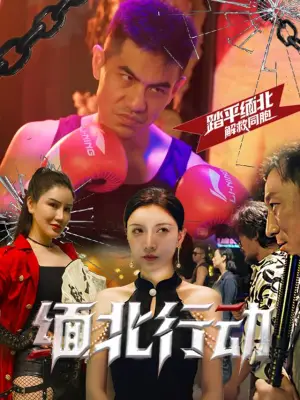 缅北行动