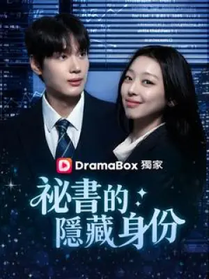 秘书的隐藏身份