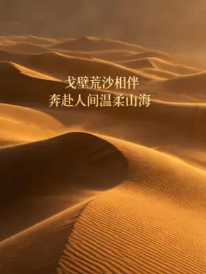 戈壁荒沙相伴奔赴人间温柔山海