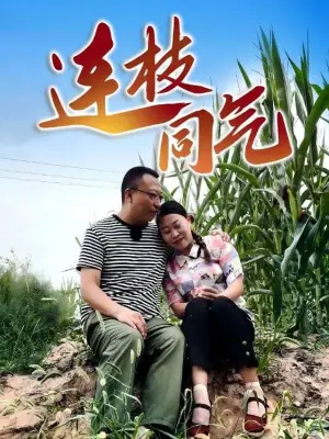 连枝同气