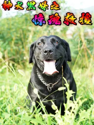 神犬黑妹之惊魂救援