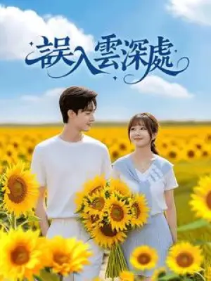 误入云深处